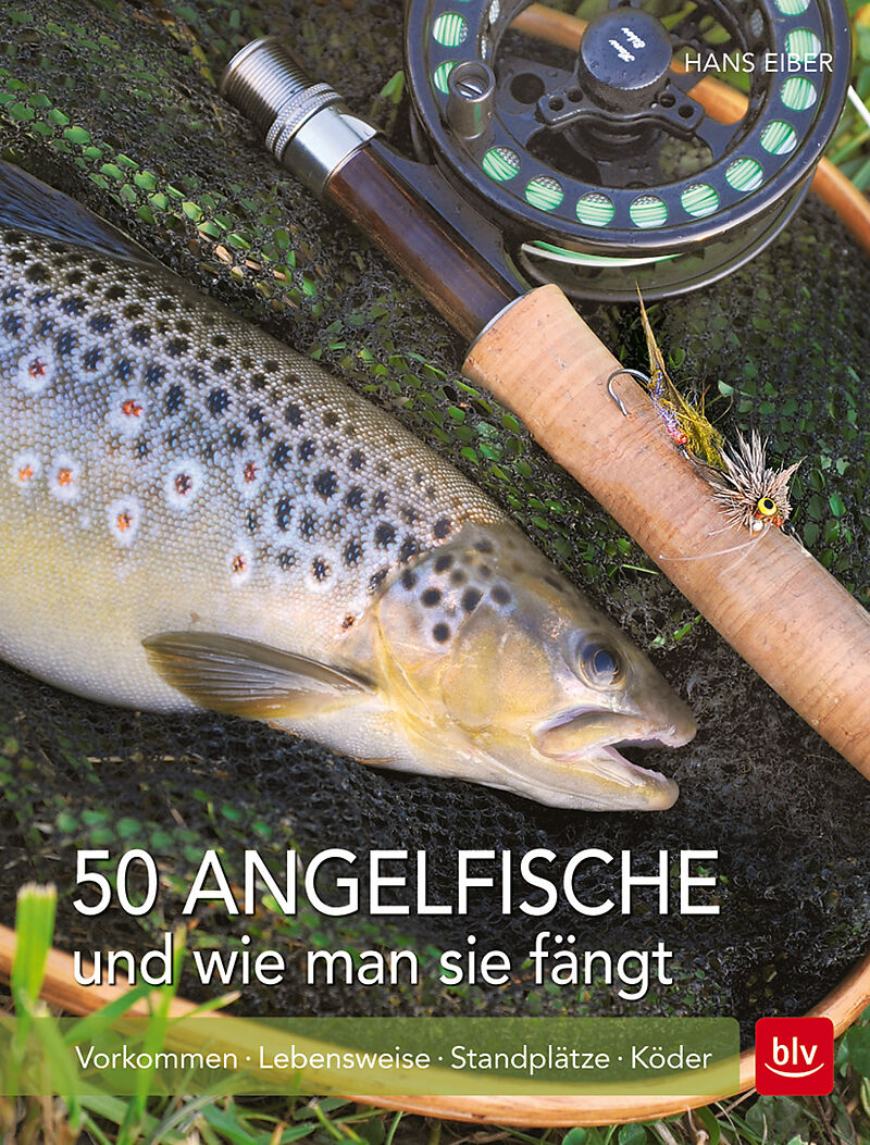 50 Angelfische und wie man sie fängt - Vorkommen | Lebensweise | Standplätze | Köder