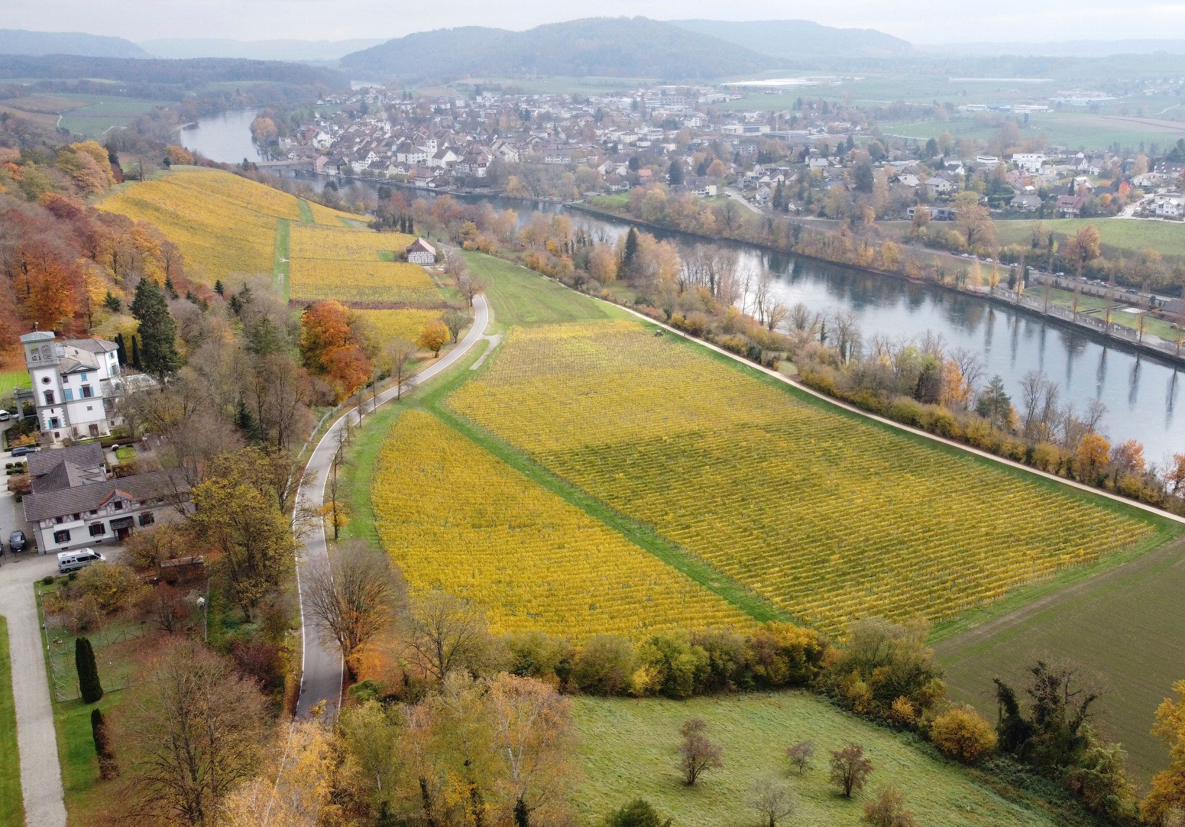 Diessenhofer Bürgerwy (Weisswein)