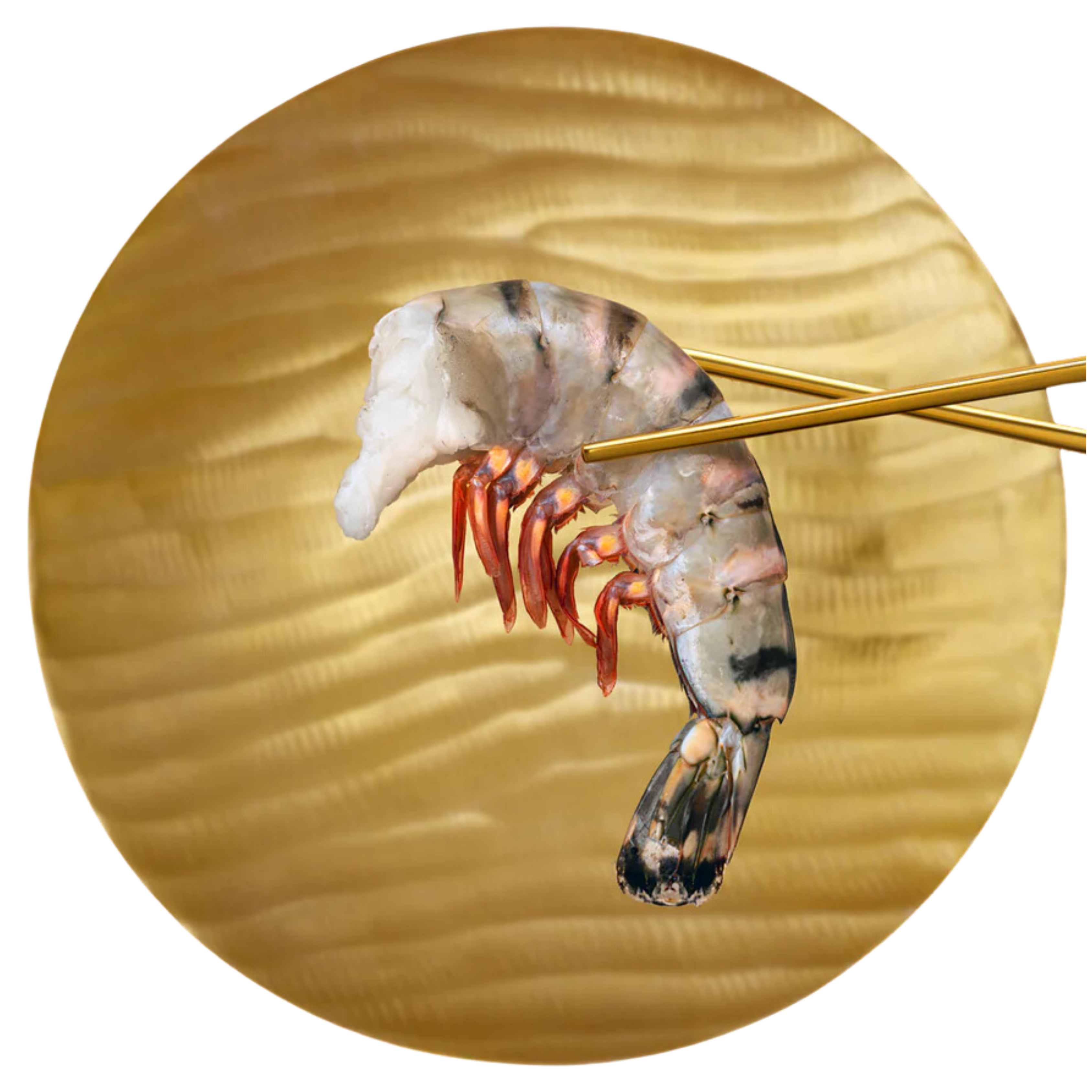 Black Tiger Shrimps mit Schale "Easy Peel" 6/8